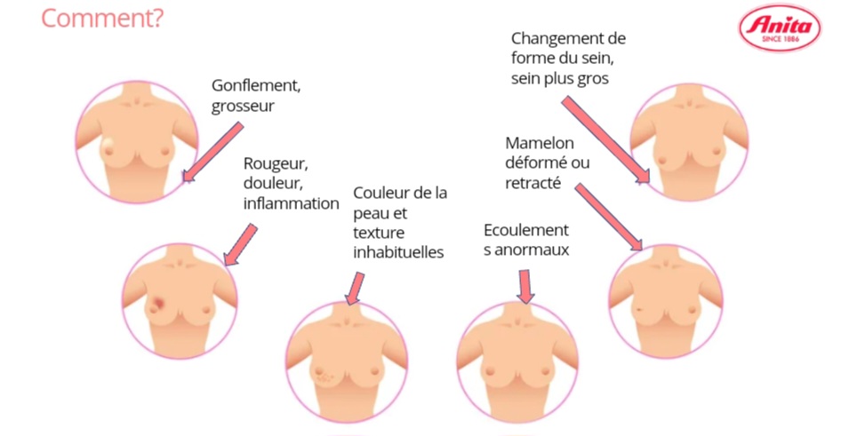 Observer sa poitrine